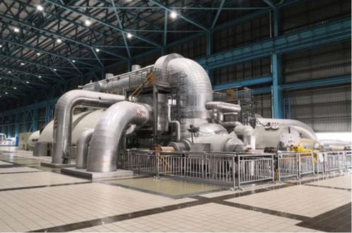 上海這五年 技術驅動下的生態新貌與垃圾分類新風尚